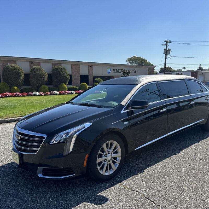 CADILLAC EAGLE REGENCY RAISED ROOF SIX DOOR LIMOUSINE